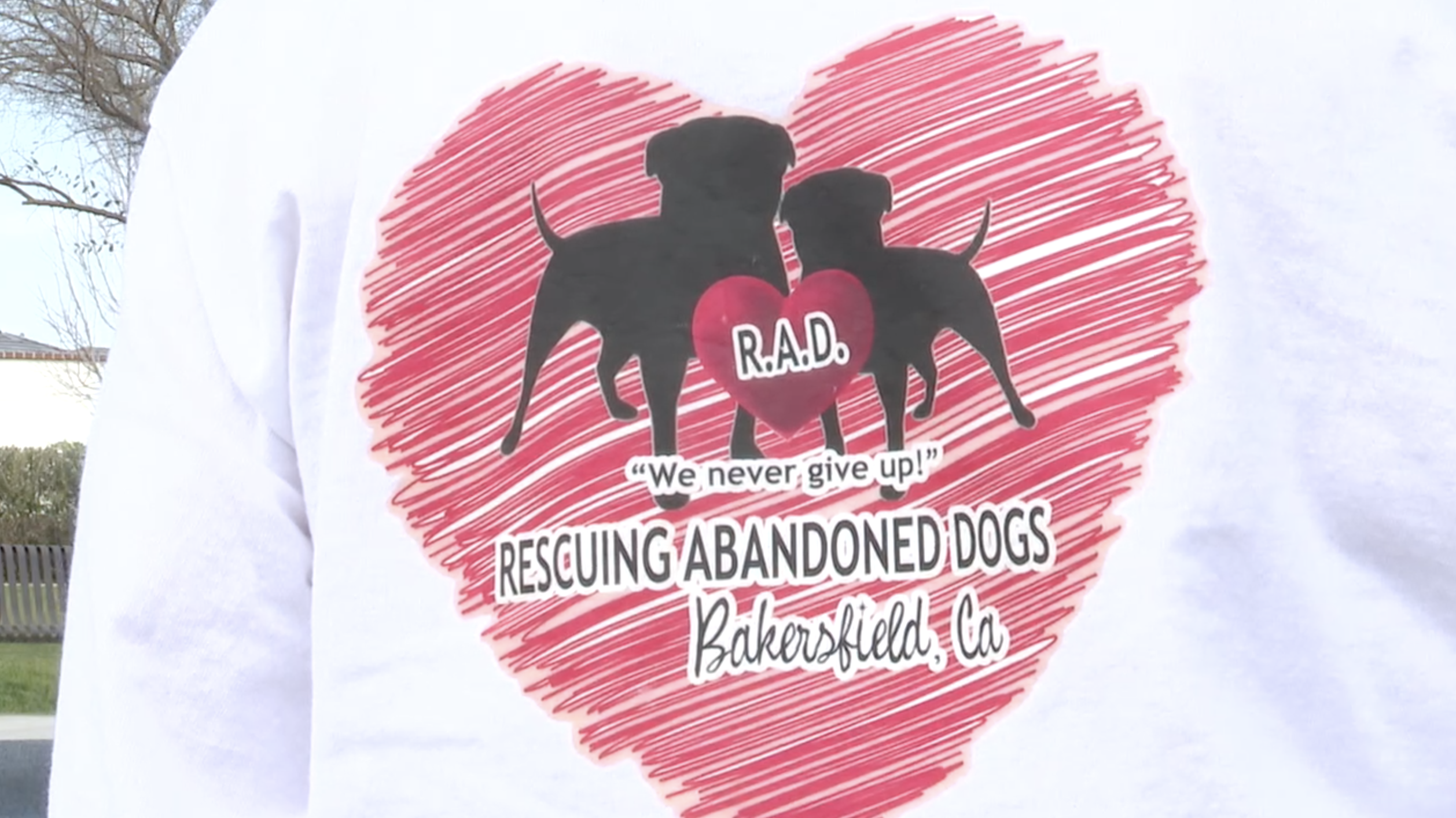 Meet the Bakersfield dog rescuer who never gives up - Vimarsana News